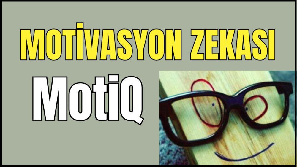 Motivasyon Zekası (MotiQ) nedir? Özellikleri nelerdir? Boyutları nelerdir? Motivasyon zekasını geliştiren yöntemler ve teknikler nelerdir?