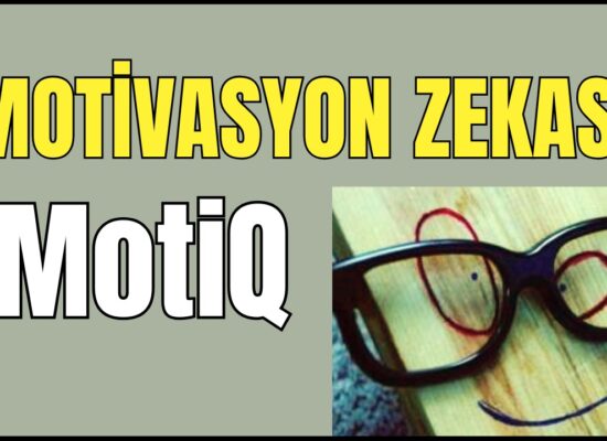 Motivasyon Zekası (MotiQ) nedir? Özellikleri nelerdir? Boyutları nelerdir? Motivasyon zekasını geliştiren yöntemler ve teknikler nelerdir?