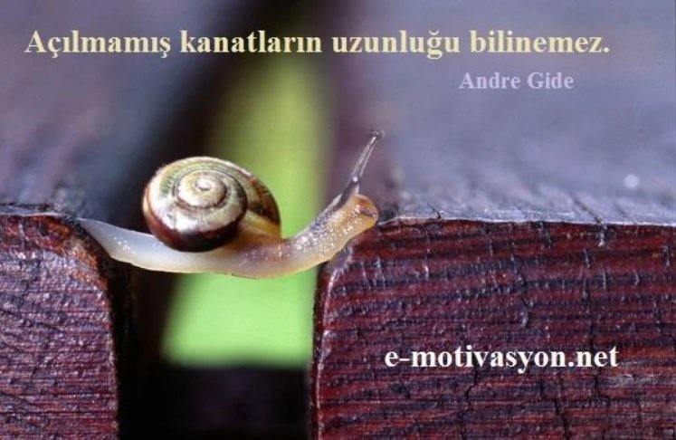 "Açılmamış kanatların uzunluğu bilinemez." Andre Gide