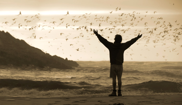 Into the Wild replikleri