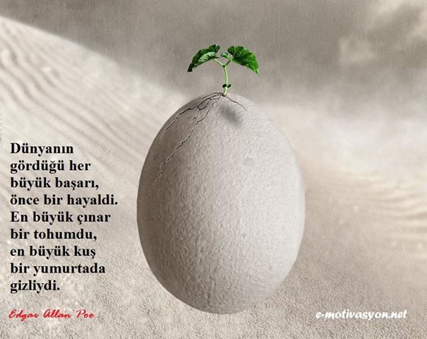 "Dünyanın gördüğü her büyük başarı, önce bir hayaldi. En büyük çınar bir tohumdu, en büyük kuş bir yumurtada gizliydi." Edgar Allan Poe