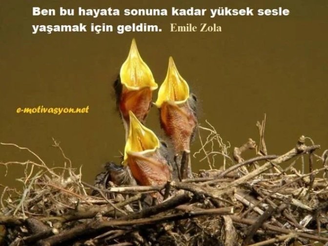 "Ben bu hayata, sonuna kadar yüksek sesle yaşamak için geldim." Emile Zola