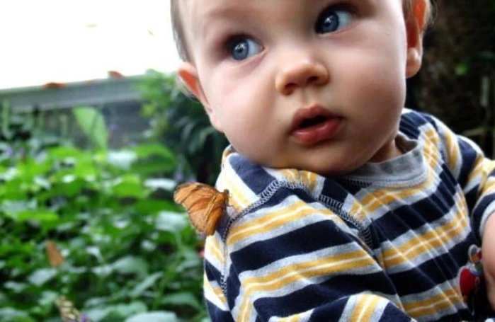 "Mutluluk tıpkı bir kelebek gibidir; ne kadar kovalarsan, o kadar sakınır senden. Fakat dikkatini başka şeylere çevirdiğinde, nazikçe gelip omzuna konacaktır." Henry D. Thoreau