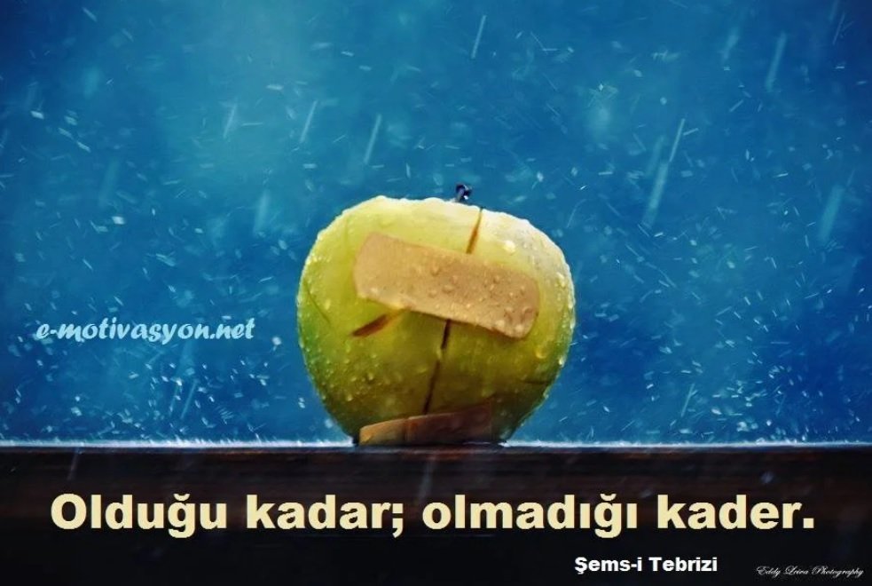 "Olduğu kadar; olmadığı kader." Şems-i Tebrizi