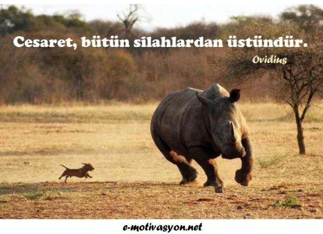 "Cesaret, bütün silahlardan üstündür." Ovidius