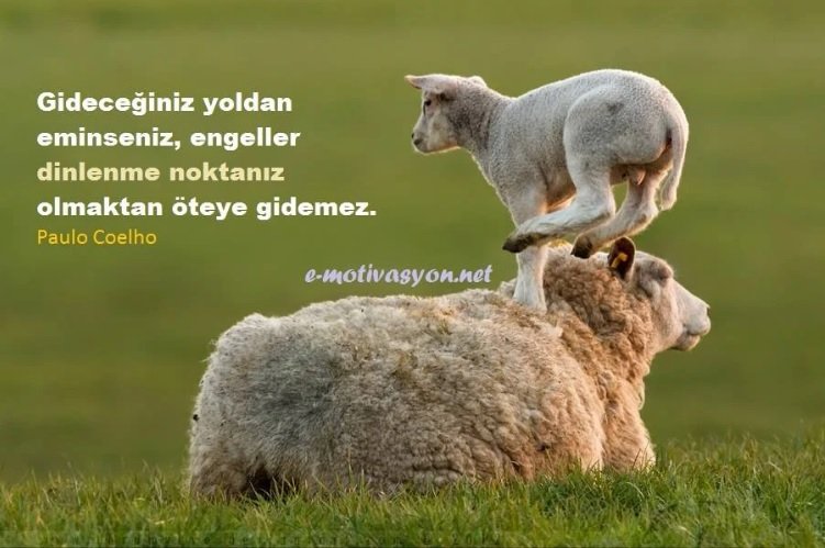 “Gideceğiniz yoldan eminseniz, engeller ‘dinlenme noktanız’ olmaktan öteye gidemez.” Paulo Coelho
