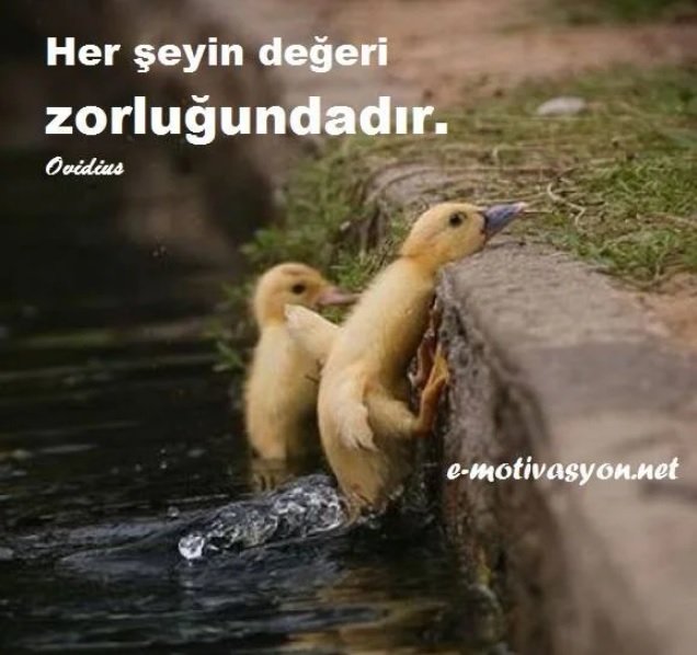 "Her şeyin değeri zorluğundadır." Ovidius