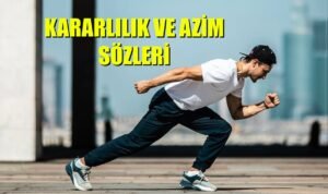 Kararlılık ve azim sözleri, en iyi özlü sözler