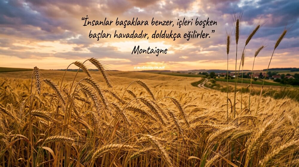 "İnsanlar başaklara benzer, içleri boşken başları havadadır, doldukça eğilirler." Montaigne
