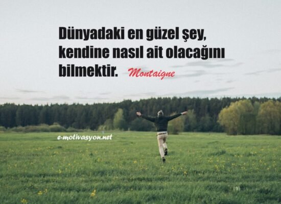"Dünyadaki en güzel şey, kendine nasıl ait olacağını bilmektir." Montaigne