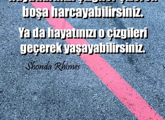 "Hayatlarınızı çizgiler çizerek boşa harcayabilirsiniz. Ya da hayatınızı o çizgileri geçerek yaşayabilirsiniz." Shonda Rhimes