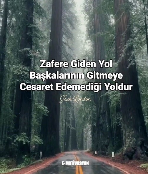 Zafere giden yol, başkalarının gitmeye cesaret edemediği yoldur. Jack London