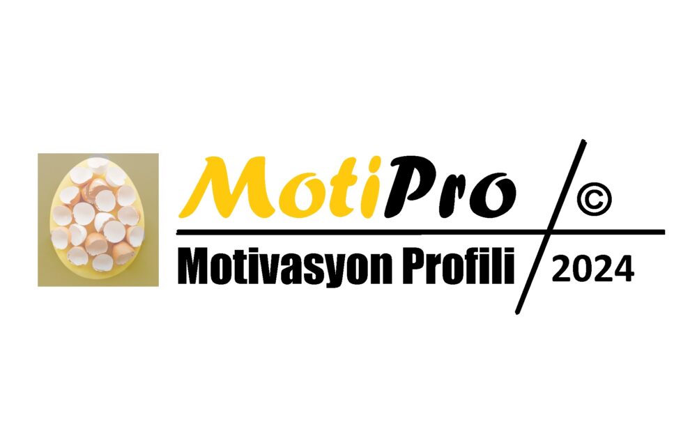 Motivasyon Profili Testi... E-Motivasyon Akademi’de motivasyon profilinin profesyonel versiyonu olarak ürünleştirilen MotiPro testi...