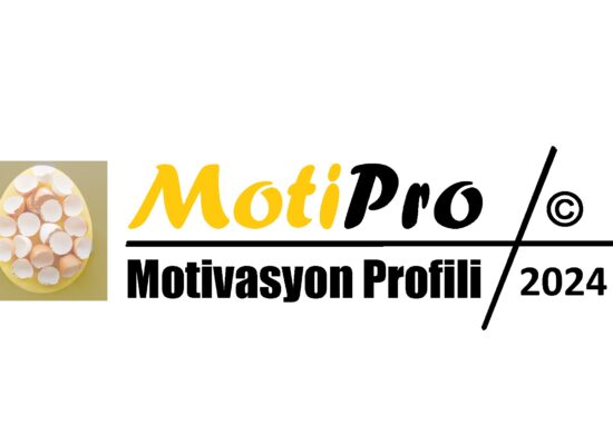 Motivasyon Profili Testi... E-Motivasyon Akademi’de motivasyon profilinin profesyonel versiyonu olarak ürünleştirilen MotiPro testi...