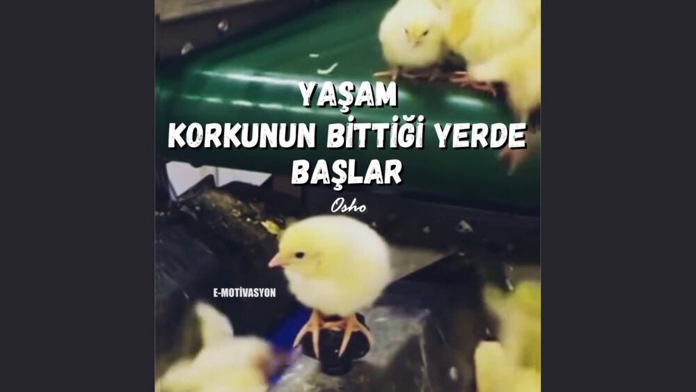 Yaşam Korkunun Bittiği Yerde Başlar Osho'nun bu güzel sözü cesaretin en güzel tasvirlerinden birisidir.