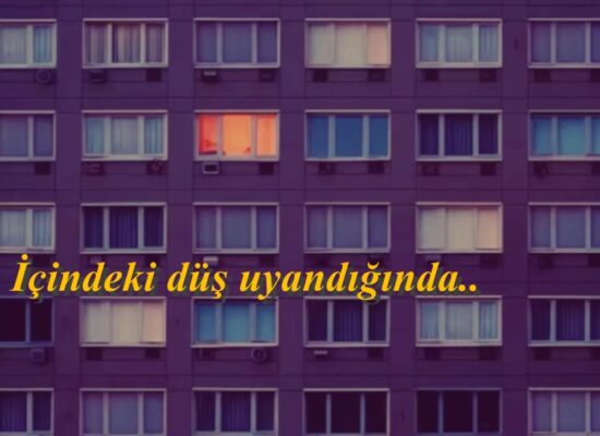İçindeki düş uyandığında, artık eskisi gibi uyuyamazsın. Tayfun Topaloğlu