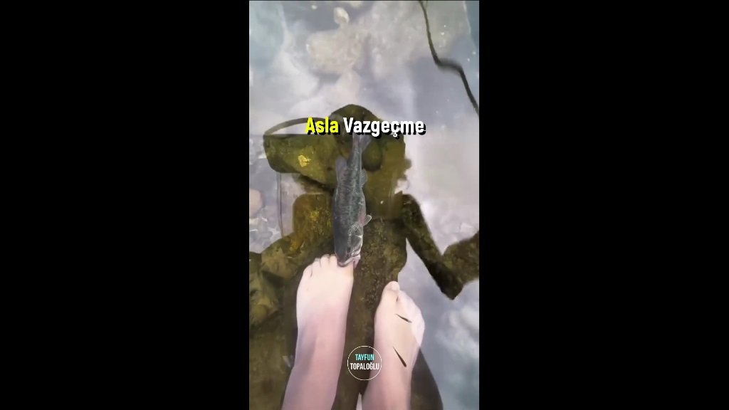 Asla Vazgeçme! Hayatın için savaş, asla pes etme! İşte bir balığın hayata tutunmak için kendi çapında verdiği ilham veren mücadelesi...