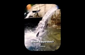 Nasıl başardığımı bilmek istiyor musun? Geriye dönüş için hiç enerji ayırmadım... Gattaca (1997) filminden başarı üzerine etkileyici bir replik videosu