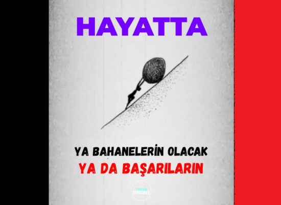 Hayatta Ya Bahanelerin Olacak ya da Başarıların